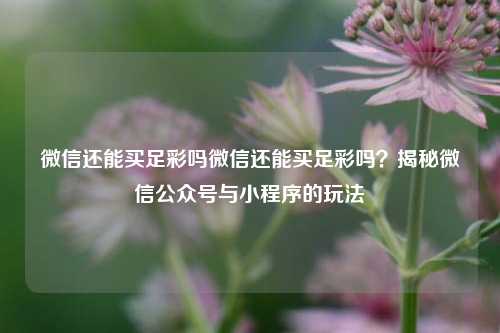 微信还能买足彩吗微信还能买足彩吗？揭秘微信公众号与小程序的玩法