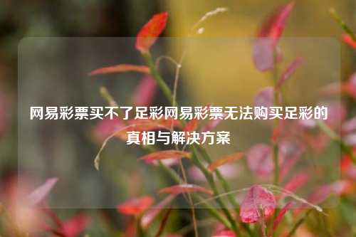 网易彩票买不了足彩网易彩票无法购买足彩的真相与解决方案