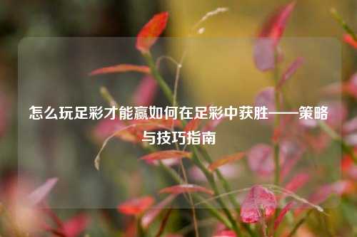 怎么玩足彩才能赢如何在足彩中获胜——策略与技巧指南