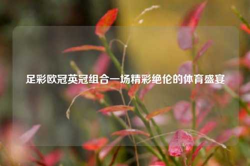 足彩欧冠英冠组合一场精彩绝伦的体育盛宴