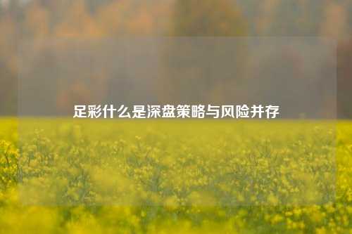足彩什么是深盘策略与风险并存