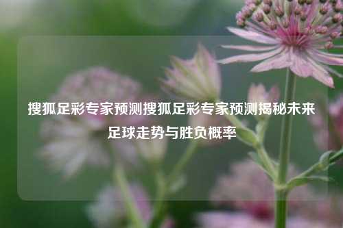 搜狐足彩专家预测搜狐足彩专家预测揭秘未来足球走势与胜负概率