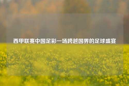 西甲联赛中国足彩一场跨越国界的足球盛宴