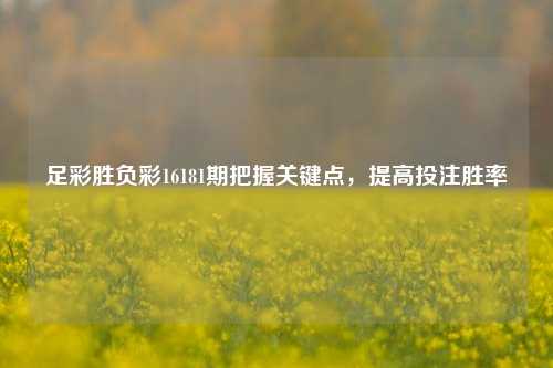 足彩胜负彩16181期把握关键点，提高投注胜率