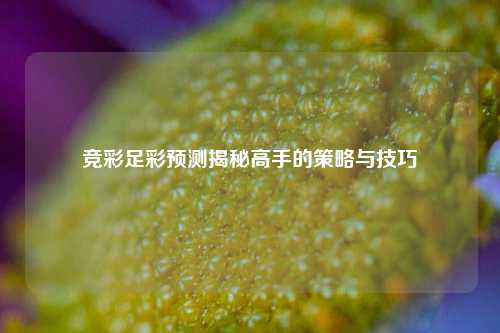 竞彩足彩预测揭秘高手的策略与技巧