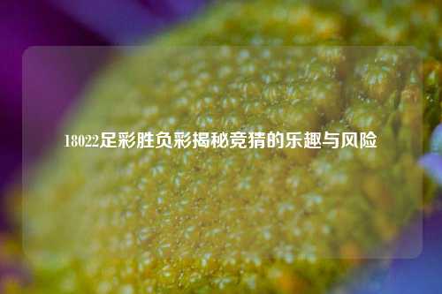 18022足彩胜负彩揭秘竞猜的乐趣与风险